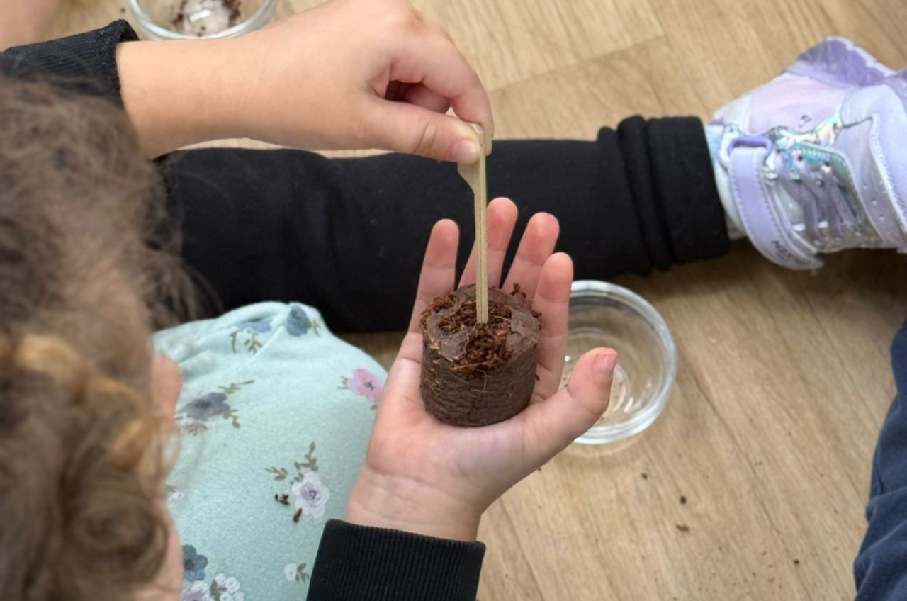 Il mondo in un chicco